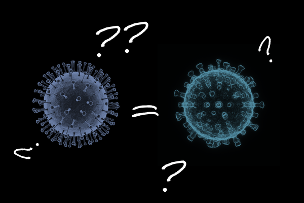 Covid Immunity Through Infection or Vaccination: Are They Equal?